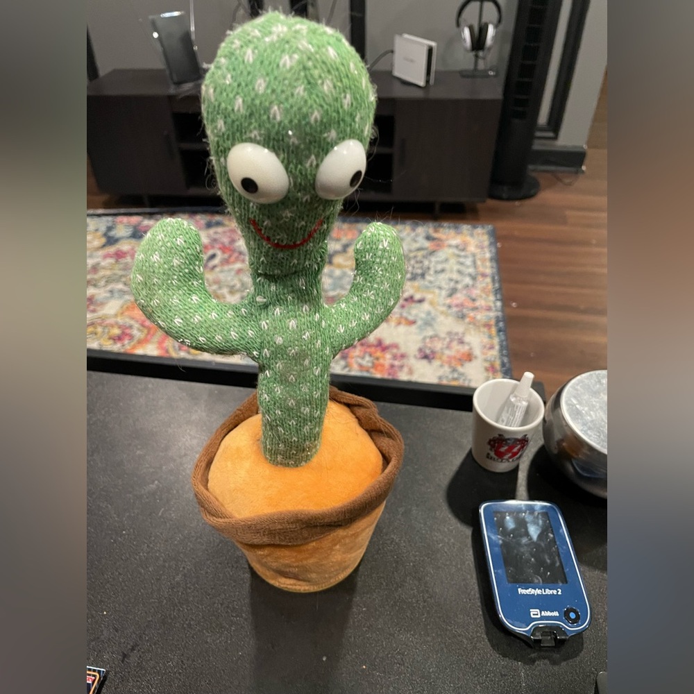 DANCING CACTUS TOY